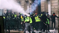 Gilet jaune modéré,