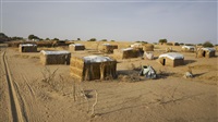 Face à Boko Haram,