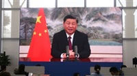 Xi Jinping critique